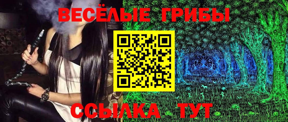 Самара  цена   Вход с VPN  Галлюциногенные грибы прущие грибы 